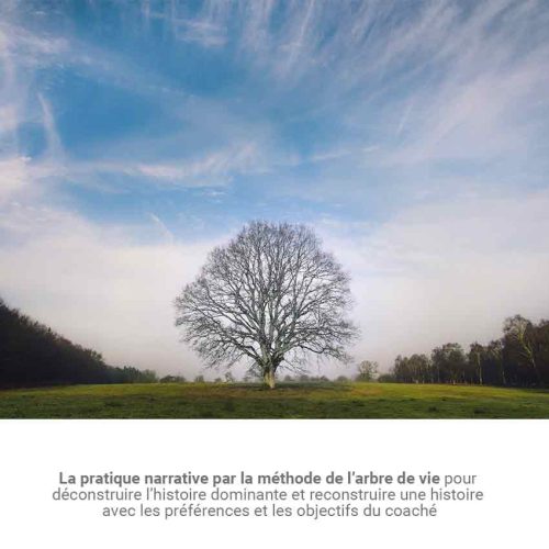 la-chamade-paris-communication-manageriale-arbre-de-vie